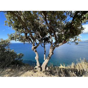 照片 意大利(Italy) 厄尔巴岛(Isola d'Elba) 2021-09 116
