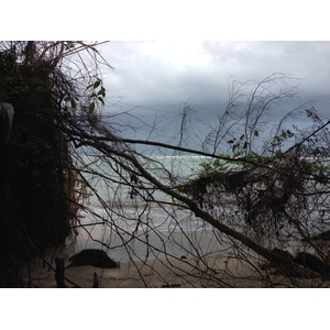 照片 哥斯达黎加(Costa Rica) 卡维塔(Cahuita) 2015-03 44