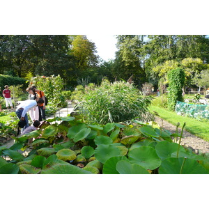 照片 法国(France) 巴黎(Paris) 巴黎植物园(Jardin des Plantes) 2007-08 74