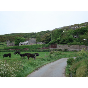 照片 英国(United Kingdom) 彭布罗克郡(Pembrokeshire) 戴尔(Dale) 2006-05 3