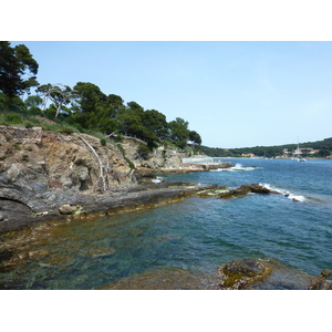 照片 法国(France) 吉安半岛(Giens Peninsula) 2009-05 13
