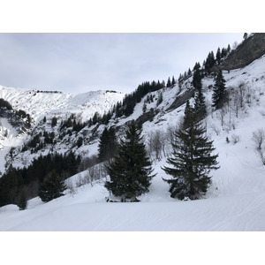 照片 法国(France) 阿尔利河畔普拉(Praz sur Arly) 2019-12 473