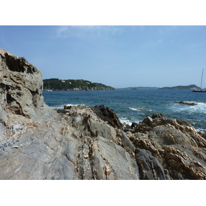 照片 法国(France) 吉安半岛(Giens Peninsula) 2009-05 5