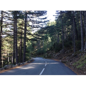 照片 法国(France) 科西嘉岛(Corsica) 巴韦拉(Bavella) 2012-09 63