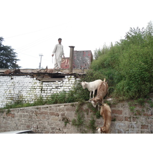 照片 巴基斯坦(Pakistan) 穆里(Murree) 2006-08 164