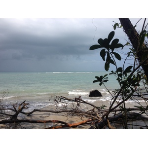 照片 哥斯达黎加(Costa Rica) 2015-03 23