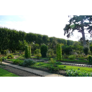 照片 法国(France) 巴黎(Paris) 巴黎植物园(Jardin des Plantes) 2007-08 83