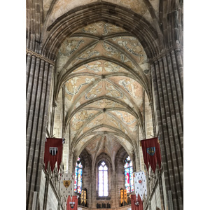 照片 法国(France) 特雷吉耶(Treguier) 2020-06 23