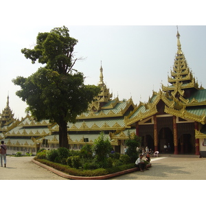 照片 缅甸(Myanmar) 仰光(Yangon) 仰光大金塔(Shwedagon Pagoda) 2005-01 0