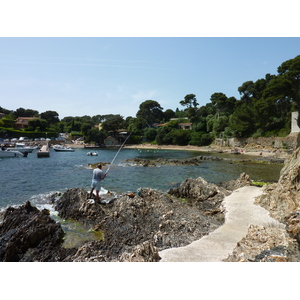照片 法国(France) 吉安半岛(Giens Peninsula) 2009-05 45