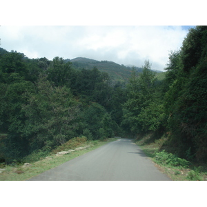 照片 法国(France) 科西嘉岛(Corsica) 阿莱萨尼山谷(Valle d'alesani) 2006-09 57