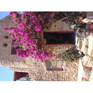 照片 希腊(Greece) 米科诺斯岛(Mykonos) 2014-07 63
