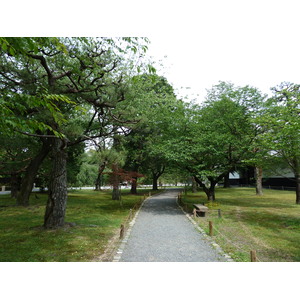 照片 日本(Japan) 京都(Kyoto) 二条城(Nijo Castle) 2010-06 26