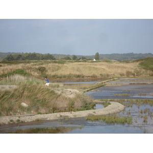 照片 法国(France) 盖朗德(Guerande) 2006-08 4