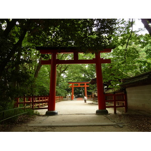 照片 日本(Japan) 京都(Kyoto) 下鸭神社(Kamomioya Shrine(Shimogamo Shrine)) 2010-06 16