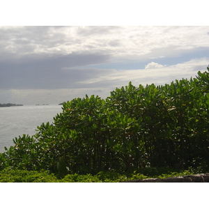 照片 波利尼西亚(Polynesia) 塔希提岛(Tahiti) 2006-04 8