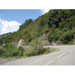 照片 法国(France) 科西嘉岛(Corsica) 阿莱萨尼山谷(Valle d'alesani) 2006-09 100