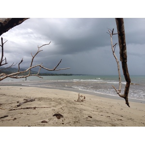 照片 哥斯达黎加(Costa Rica) 卡维塔(Cahuita) 2015-03 112