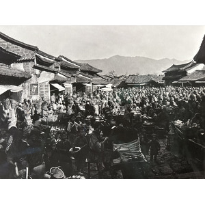 照片 中国(China) 丽江(Lijiang) 2026-01 171
