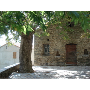 照片 法国(France) 科西嘉岛(Corsica) 阿莱萨尼山谷(Valle d'alesani) 2006-09 74