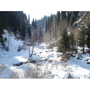 照片 哈萨克斯坦(Kazakhstan) 伊犁阿拉套国家公园(Ile Alatau National Park) 2007-03 36