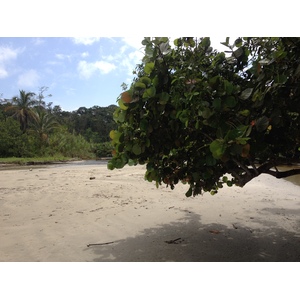 照片 哥斯达黎加(Costa Rica) 卡维塔(Cahuita) 2015-03 139