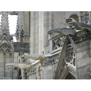 照片 法国(France) 巴黎(Paris) 巴黎圣母院(Notre Dame) 2007-05 84