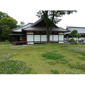 照片 日本(Japan) 京都(Kyoto) 京都御苑(Kyoto Gyoen Garden) 2010-06 15