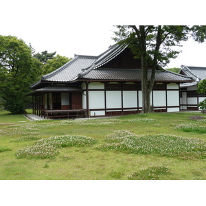 照片 日本(Japan) 京都(Kyoto) 京都御苑(Kyoto Gyoen Garden) 2010-06 20