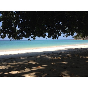 照片 巴拿马(Panama) 孔塔多拉岛(Contadora Island) 2015-03 31