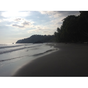 照片 哥斯达黎加(Costa Rica) 曼努埃尔安东尼奥(Manuel Antonio) 2015-03 128