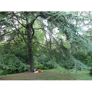 照片 法国(France) 巴黎(Paris) 肖蒙山丘公园(Parc des Buttes Chaumont) 2007-08 166