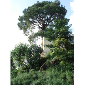 照片 巴基斯坦(Pakistan) 伊斯兰堡至穆里公路(Islamabad to Murree road) 2006-08 22