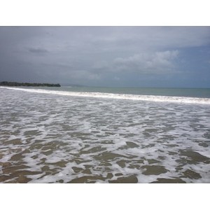 照片 哥斯达黎加(Costa Rica) 卡维塔(Cahuita) 2015-03 164