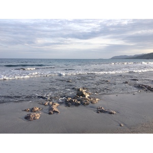 照片 哥斯达黎加(Costa Rica) 2015-03 17