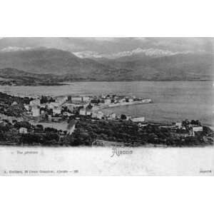 照片 法国(France) 科西嘉岛(Corsica) 老明信片(Old Postcards) 1900-01 270