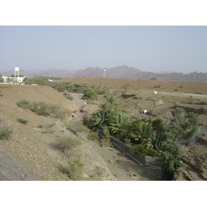 照片 阿曼(Oman) 布赖米至苏哈尔公路(Buraimi to Sohar road) 2005-03 22