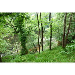 照片 英国(United Kingdom) 苏格兰(Scotland) 布里金(Brechin) 2011-07 5
