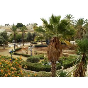 照片 以色列(Israel) 雅法(Jaffa) 2006-12 101