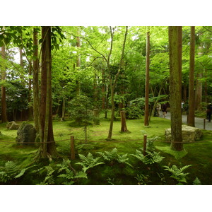 照片 日本(Japan) 2010-06 72