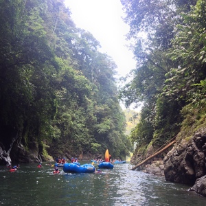照片 哥斯达黎加(Costa Rica) 帕夸雷河(Pacuare River) 2015-03 83