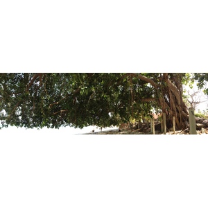 照片 巴拿马(Panama) 孔塔多拉岛(Contadora Island) 2015-03 169