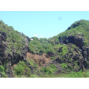 照片 波利尼西亚(Polynesia) 马克萨斯群岛(Marquises) 2006-04 129