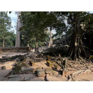 照片 柬埔寨(Cambodia) 暹粒(Siem Reap) 塔布茏寺(Ta Prohm) 2023-01 122