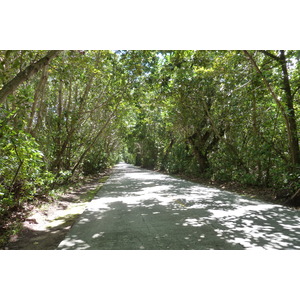 照片 塞舌尔(Seychelles) 普拉兰岛(Praslin) 2011-10 93