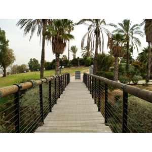 照片 以色列(Israel) 雅法(Jaffa) 2006-12 138