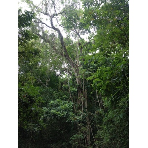 照片 哥斯达黎加(Costa Rica) 蒙特苏马(Montezuma) 2015-03 349