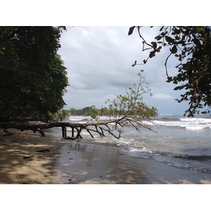 照片 哥斯达黎加(Costa Rica) 卡维塔(Cahuita) 2015-03 116