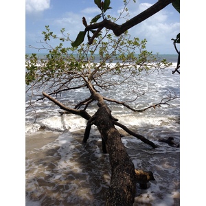 照片 哥斯达黎加(Costa Rica) 卡维塔(Cahuita) 2015-03 96