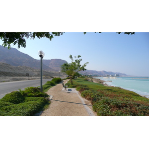 照片 以色列(Israel) 埃因博克(Boqeq) 2007-06 27